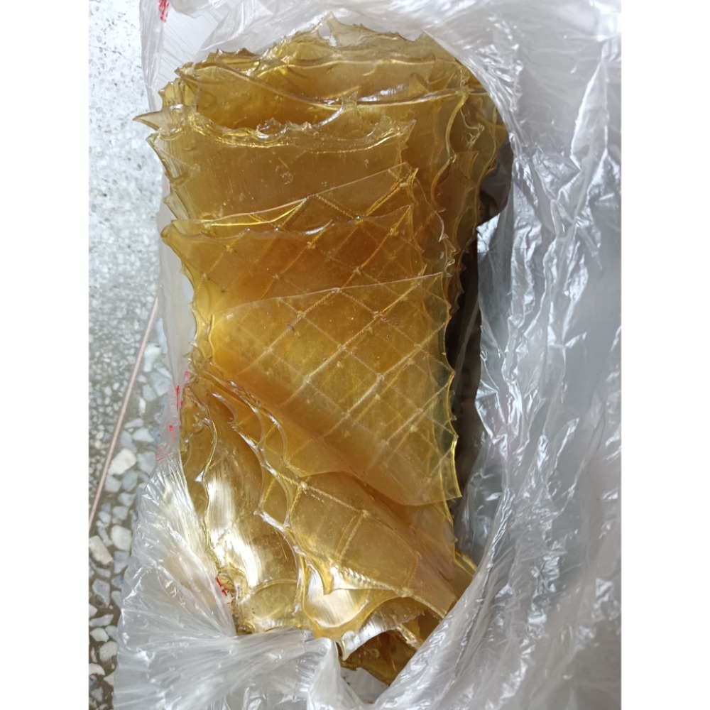 木工樂器製作用 魚皮膠 1g 3 元-細節圖2