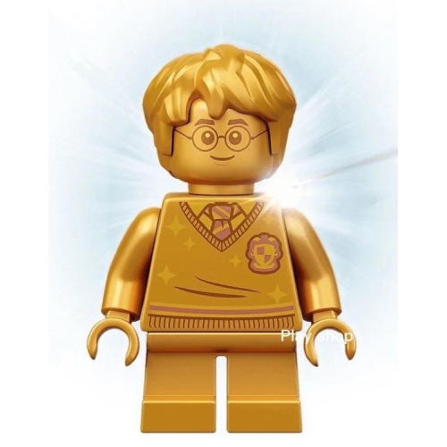 LEGO 76386 樂高 哈利波特 Harry Potter 20週年 金色哈利【玩樂小舖】