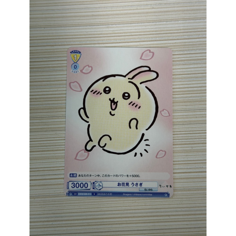 賞櫻兔兔