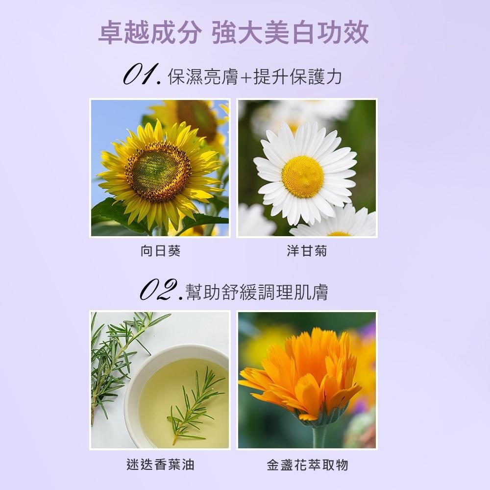 Sesedior 希希娣兒-薰衣草醇露淨白面膜(10/20片)【盒裝】-細節圖4