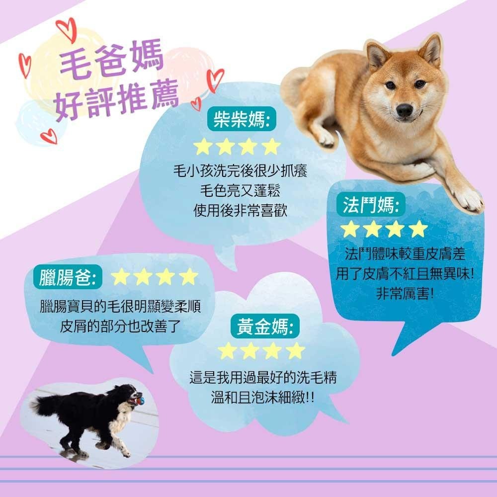 【毛孩物語】汪汪沐浴精洗護組(深層清潔+修護護理)250ml/瓶 預防皮屑 寵物沐浴乳 寵物洗毛精 寵物洗澡 狗狗洗澡-細節圖6