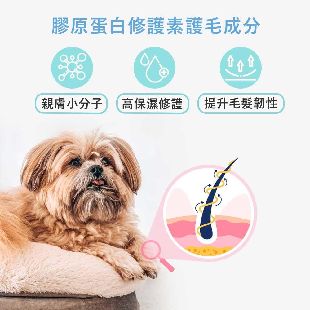 【毛孩物語】汪汪沐浴精(修護護理) 250ml 修護 預防皮屑 寵物沐浴乳 寵物洗毛精/洗劑 寵物洗澡 狗狗洗澡 貓洗澡-細節圖7