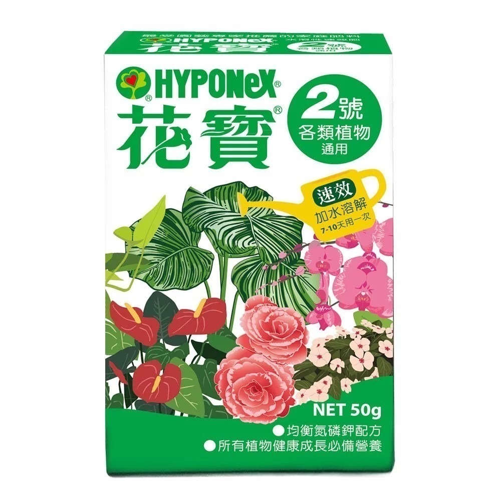 【花寶】1~5號 50g 液態肥 速效肥料 開花 幼苗 室內 觀察 園藝 肥料 植物用-細節圖2