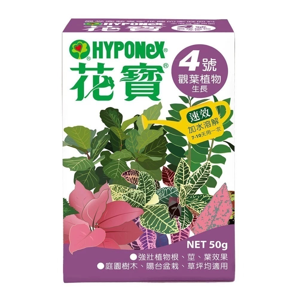 【花寶】1~5號 50g 液態肥 速效肥料 開花 幼苗 室內 觀察 園藝 肥料 植物用-細節圖4