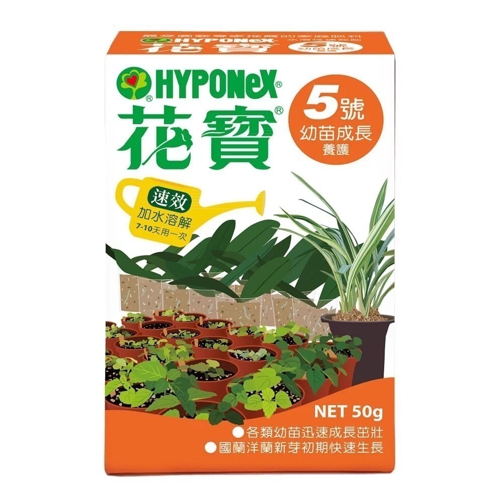 【花寶】1~5號 50g 液態肥 速效肥料 開花 幼苗 室內 觀察 園藝 肥料 植物用-細節圖5