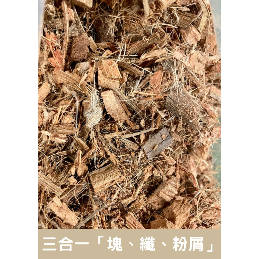 【椰塊】椰塊 椰纖 粉屑 三合一  水洗曝曬椰塊 觀葉植物介質 蘭花介質 雨林植物介質 椰纖 椰纖土 鋪面-細節圖4