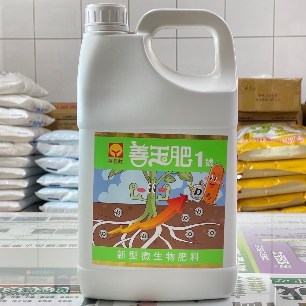 [意足] (買一送一贈土寶4L) 興農 善玉肥1號 4L 溶磷菌 微生物肥料 液肥  開根 營養 蕨類 玫瑰 多肉-細節圖2