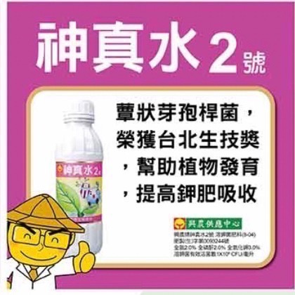 [意足](提升植株強健) 興農 神真水 2號 4L 蕈狀芽胞桿菌 溶鉀菌 液肥 多肉植物 開根 玫瑰 蕨類 塊根-細節圖2