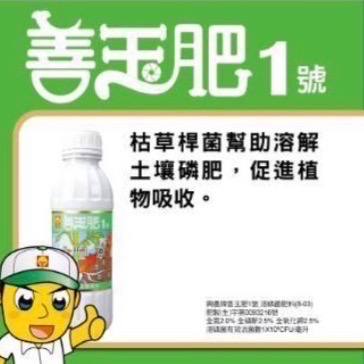 [意足](一次搞定組合包) 興農 善玉肥 1號 1L + 神真水 2號 1L + 土寶1L 溶磷菌 蕈狀芽孢桿菌-細節圖2