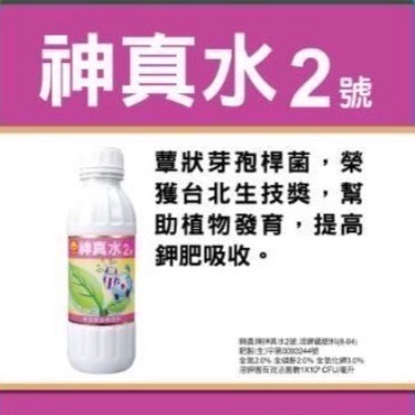 [意足](一次搞定組合包) 興農 善玉肥 1號 1L + 神真水 2號 1L + 土寶1L 溶磷菌 蕈狀芽孢桿菌-細節圖3