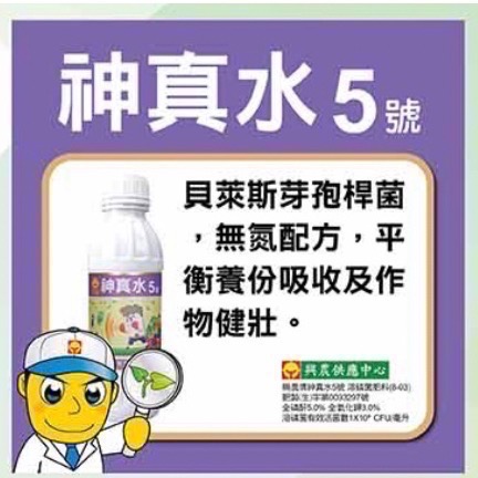 [意足]<強健植株 開根 CP值滿分> 興農 神真水 5號 1L / 500ml 溶磷貝萊斯芽孢桿菌 微生物液肥 蕨類-細節圖2