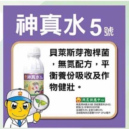 [意足]<強健植株 開根 CP值滿分> 興農 神真水 5號 1L / 500ml 溶磷貝萊斯芽孢桿菌 微生物液肥 蕨類-細節圖3