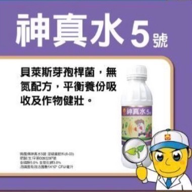 [意足](開心農場強健組合包) 興農 神真水5號 + 土寶 貝萊斯芽孢桿菌 微生物液肥 營養劑 開根 蕨類 多肉 塊根-細節圖2