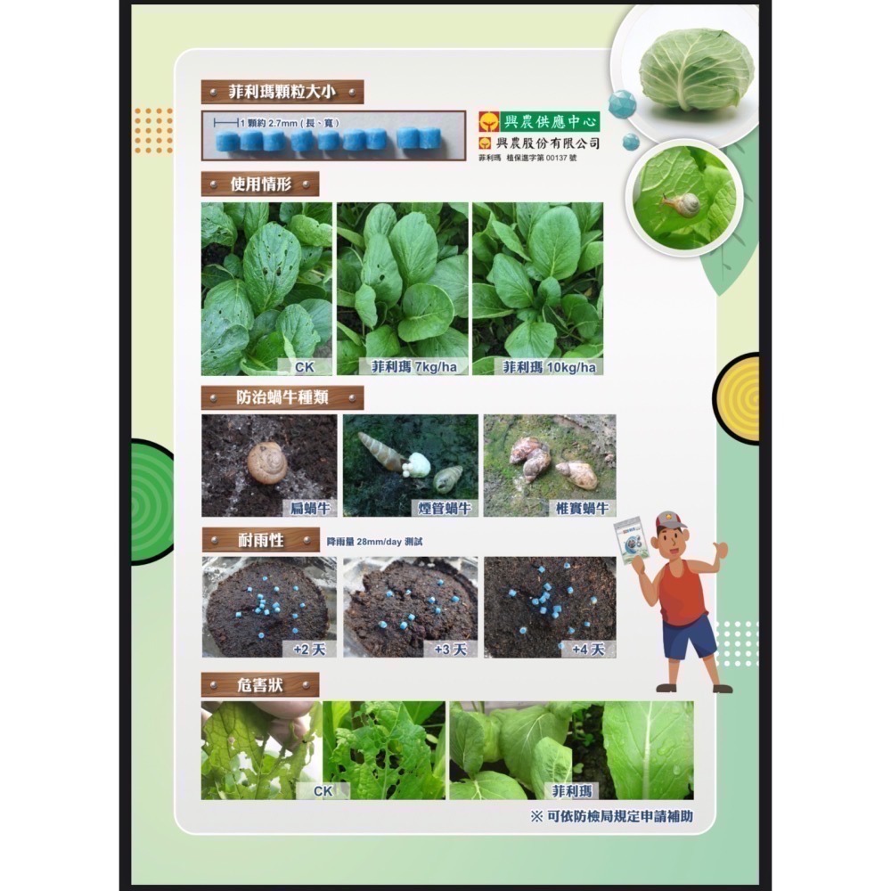 [意足] <地上部、地下部共同防治> 興農 禾用 1L  + 菲利瑪 700g 磷酸鐵 無毒 除蝸牛 蛞蝓 非洲大蝸牛-細節圖3