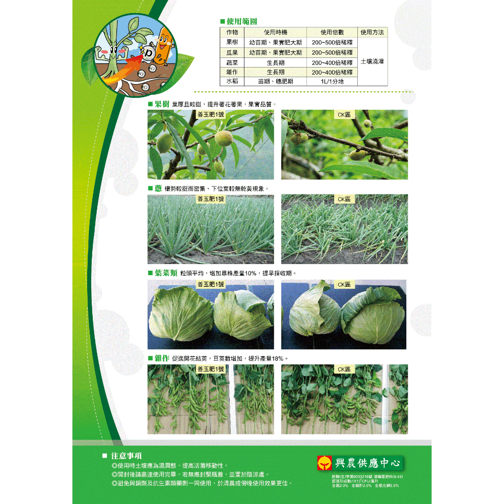 [意足](開心農場懶人組合包) 興農 善玉肥1號 1L + 沃樂肥500g 開根 勇欉一次搞定 營養劑 開根 蕨類 多肉-細節圖3