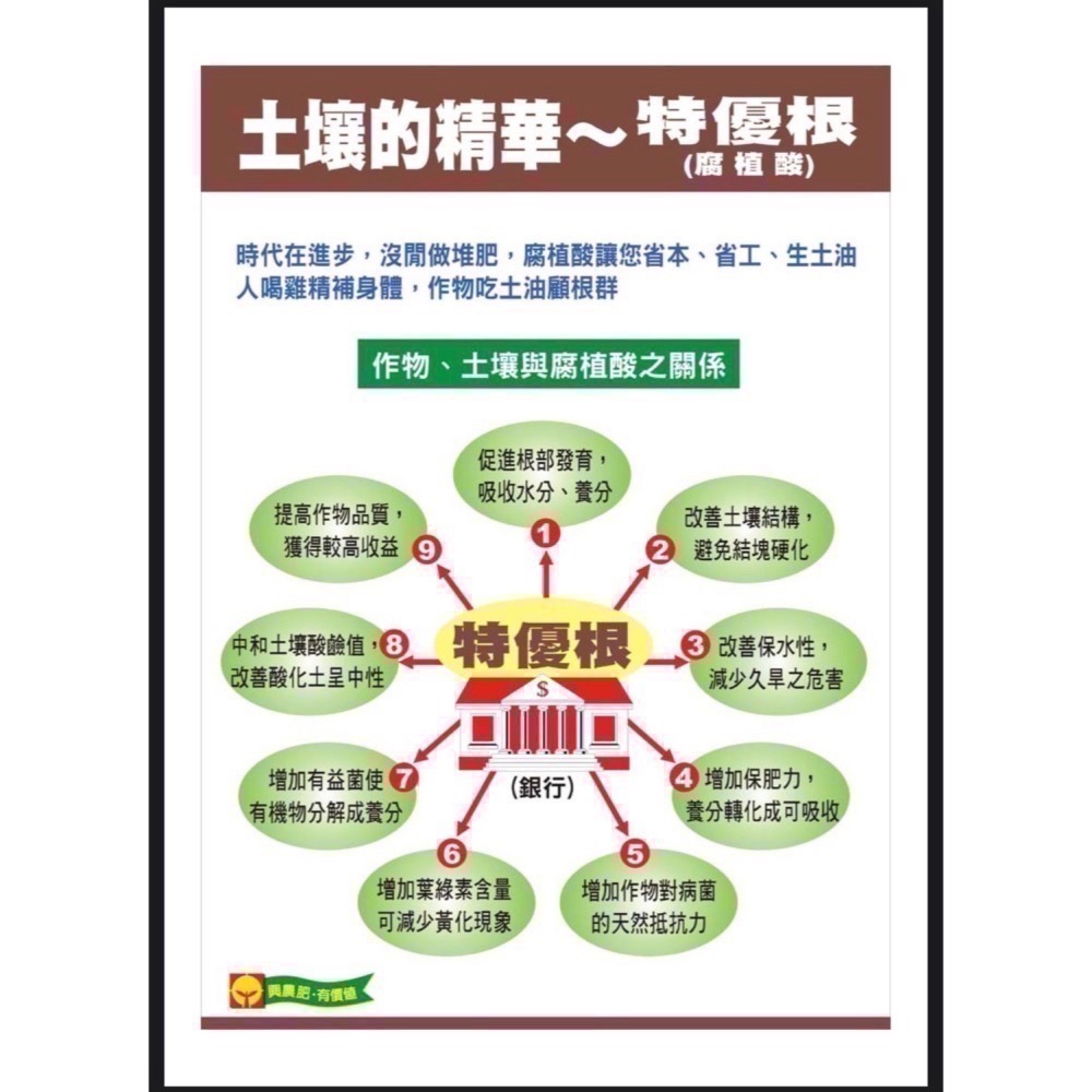 [意足](農民節善玉肥552買2送1)  興農 善玉肥552 + 金優根 開根 溶磷 助開花 抗逆境-細節圖6