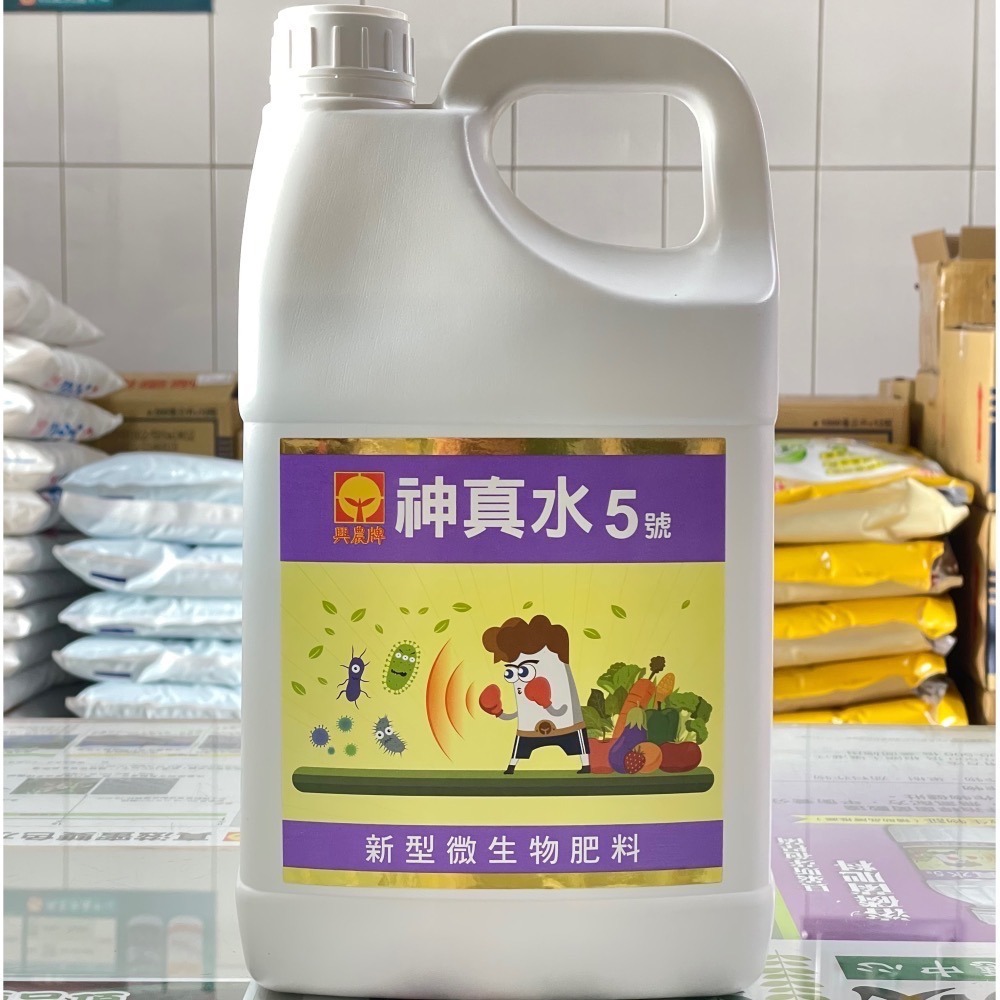 [意足]<強健植株 開根 CP值滿分> 興農 神真水5號 4L 溶磷貝萊斯芽孢桿菌 微生物液肥 蕨類 玫瑰 多肉 塊根-細節圖2