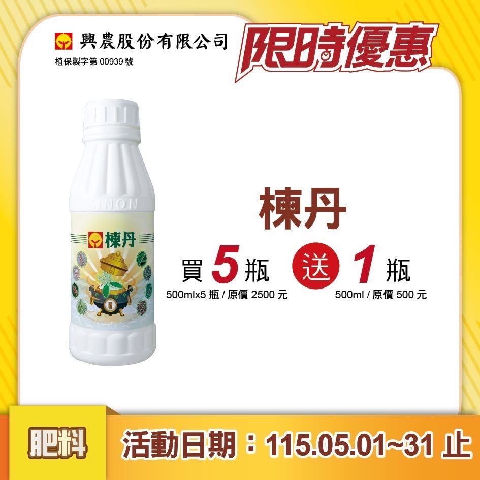 買五送一