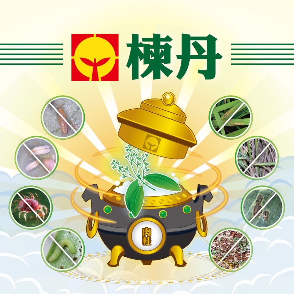 [意足] <買五送一活動｜無毒防治資材> 興農 楝丹 500ml 肉桂精油 抑菌 殺線蟲 天然有機 無毒安全-規格圖1