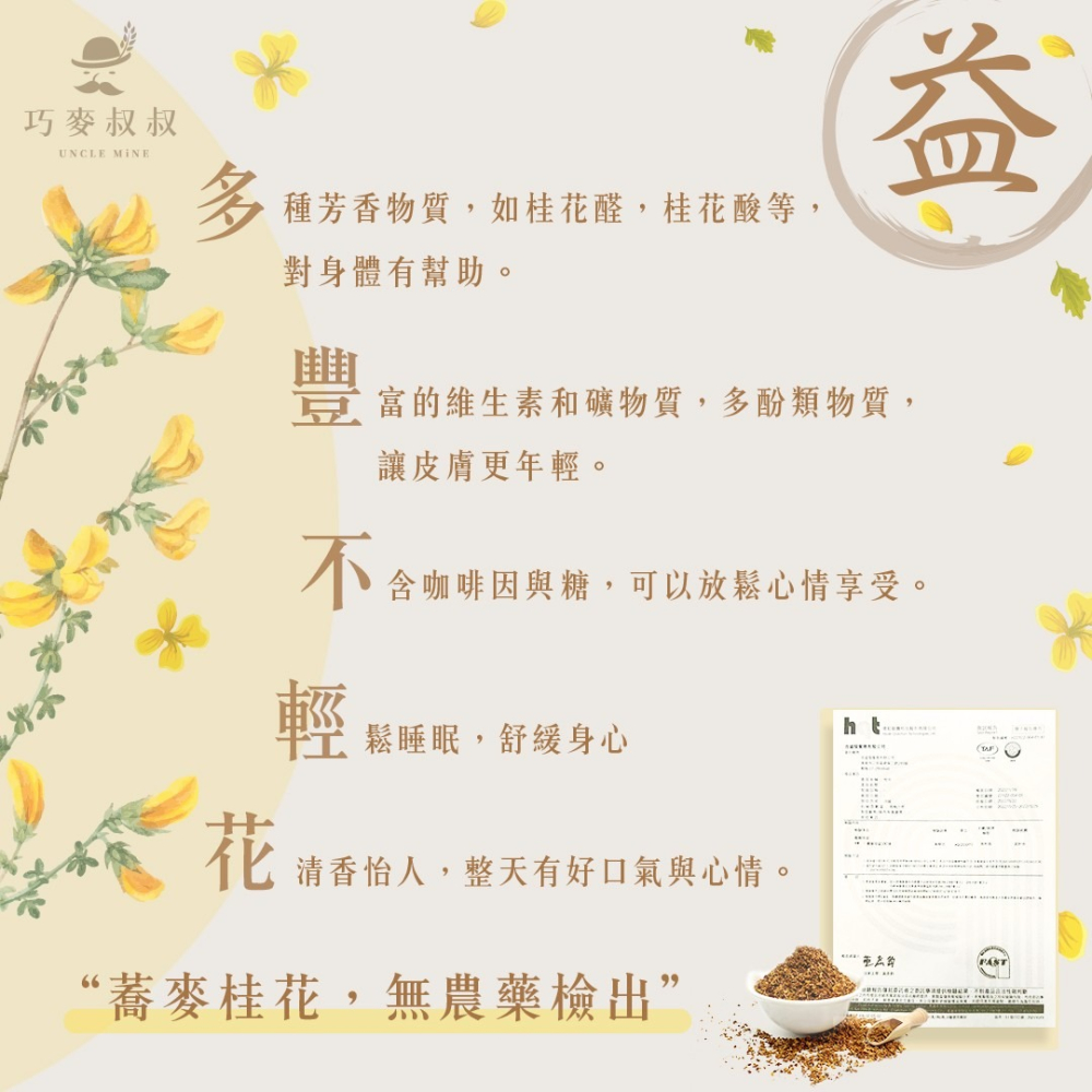🌾桂花蕎麥茶 桂花蕎麥 真的有桂花喔！無咖啡因 無咖啡茶包  【巧麥叔叔】-細節圖5