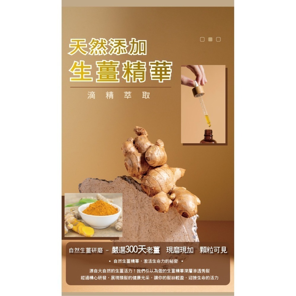 香水人生 貳柒 原萃生薑洗髮露500ml★網路熱銷-細節圖2