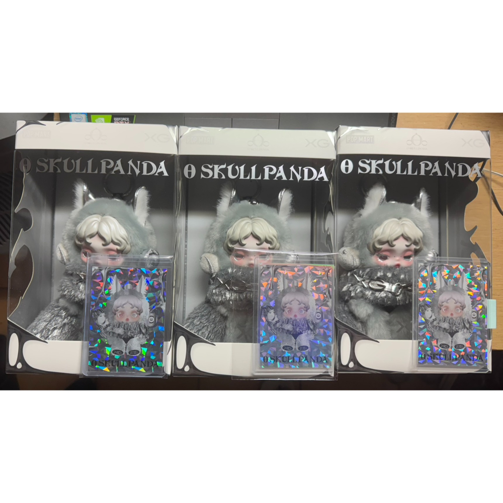 XG，世界巡迴10/17臺北小巨蛋 THE CORE 聯名閃卡+公仔現貨POP MART泡泡瑪特SKULLPANDA-細節圖10