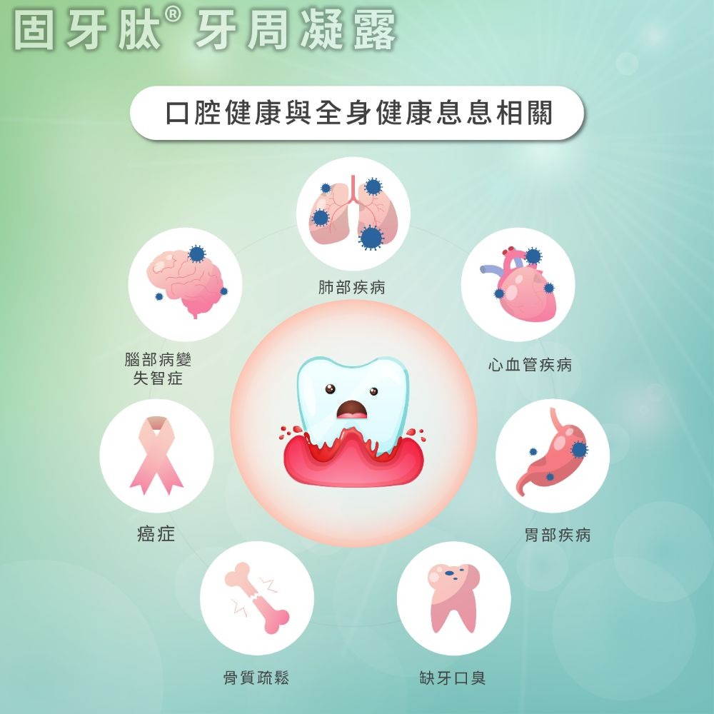 【里享】固牙肽 牙周凝露 60g-7入 台灣製 口腔保健 牙齦護理 專利胜肽+SGS檢驗安全成分 GMP工廠生產-細節圖7