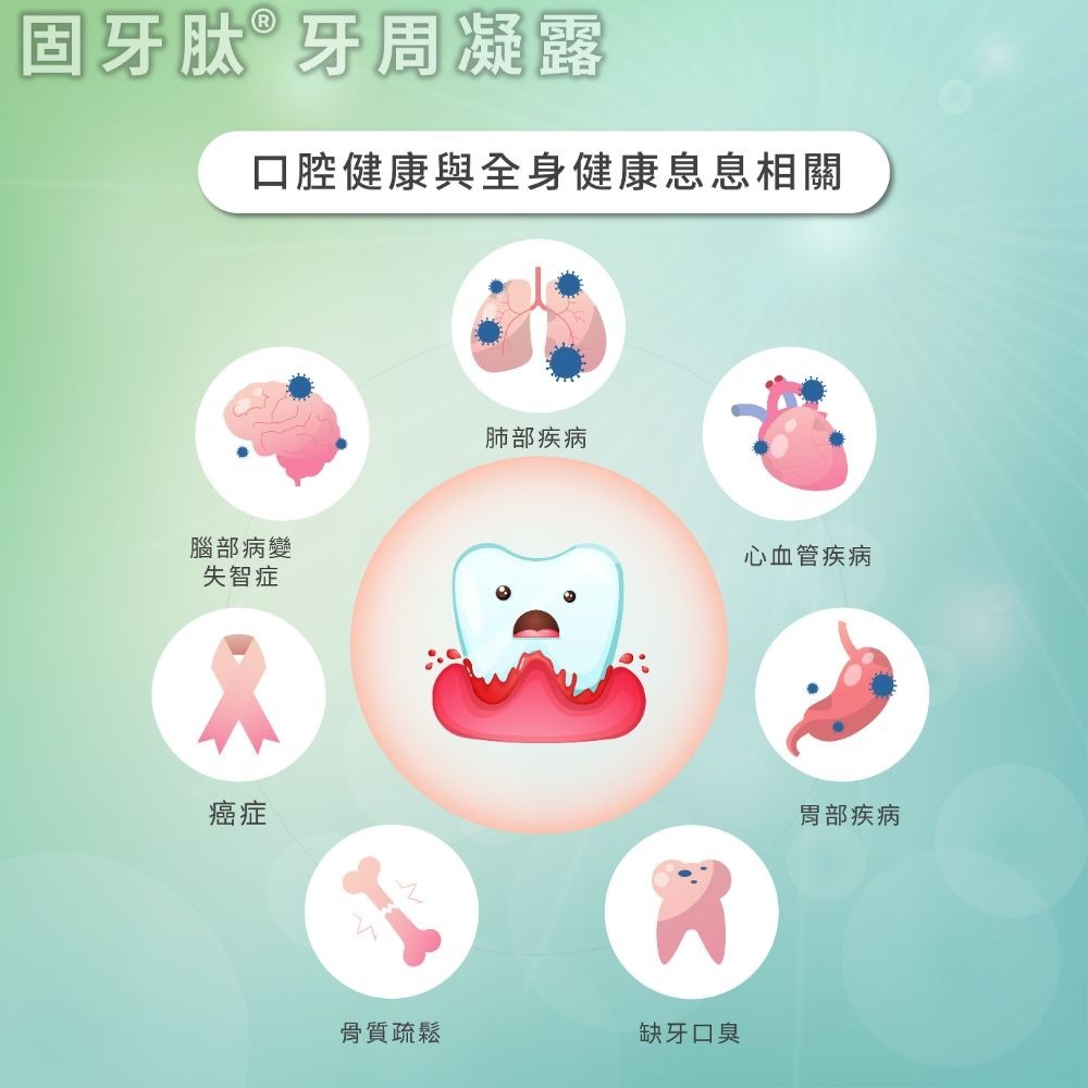 【里享】固牙肽 牙周凝露 60g-1入+牙本肽PLUS 漱口水300ml-1入 台灣製 口腔保健組合 牙齦護理 專利胜肽-細節圖7