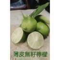 德贊農場，台灣本土無籽檸檬，現榨無籽檸檬汁，無子檸檬，塔西提香水檸檬，萊姆，泰國料理，泰國PK檸檬汁，越南。-規格圖1