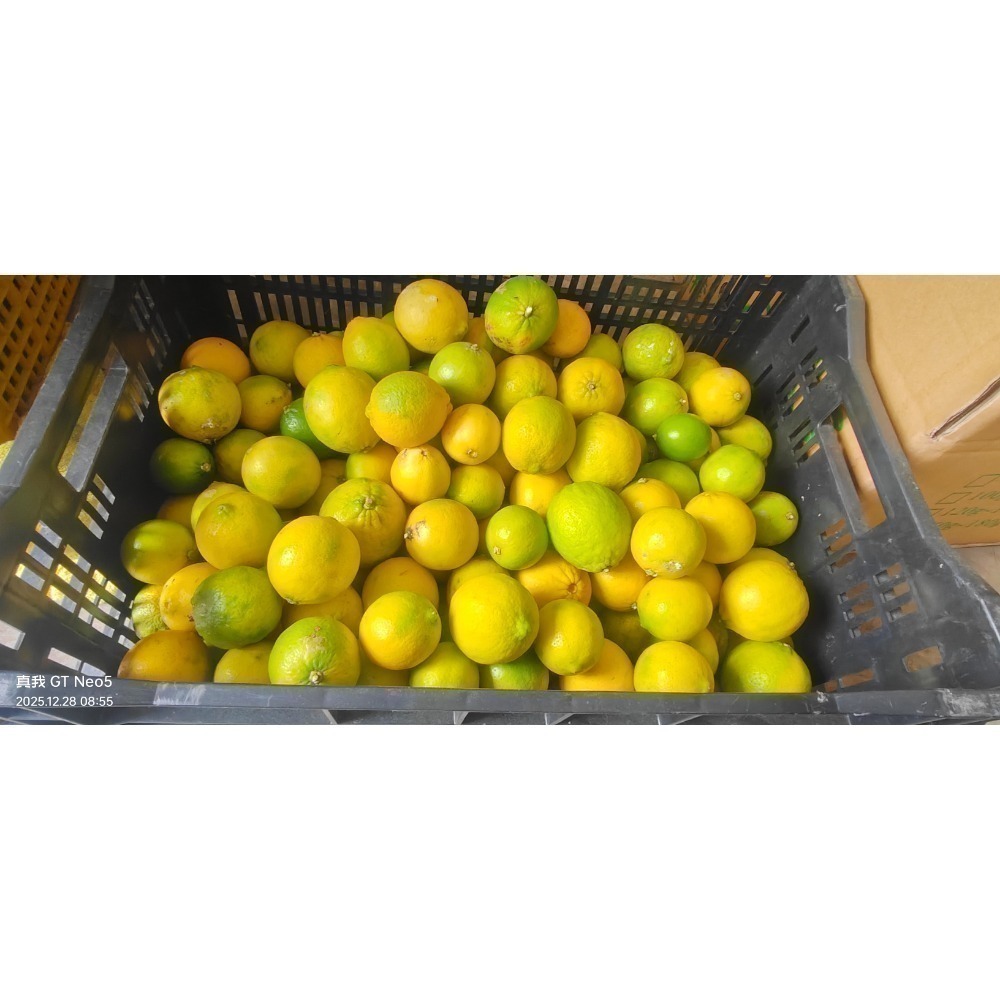 TGAP C級青黃無籽檸檬 600g 1斤