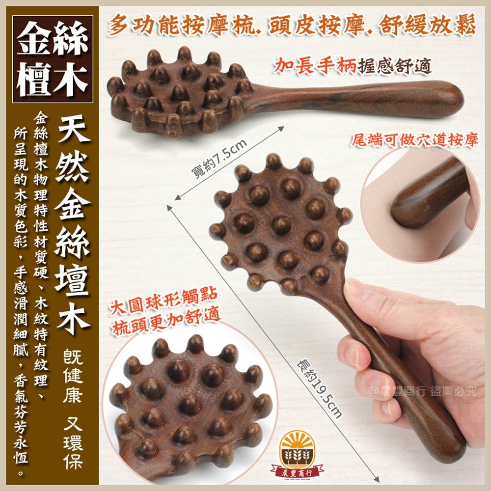 【晨豐商行】天然金絲檀木-20珠貝殼按摩經絡刷 刮痧按摩養生梳 頭皮按摩 檀香木梳 原木梳 禮物-細節圖2