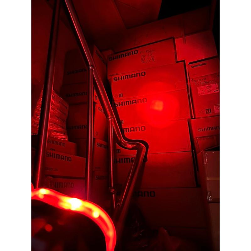 尚玲瓏百貨 台灣製 超亮! Smart 0.5W高亮度爆閃車尾燈 超亮直立式車後燈 下叉燈 警示燈-細節圖2