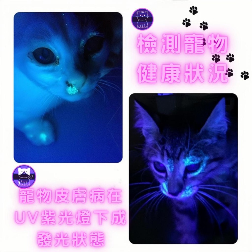 現貨 20W 四核心 大功率紫光手電筒 紫光鑒定燈 照玉燈 驗鈔燈 UV黑鏡紫光燈 煙酒防偽鑒別 翡翠鑒定燈 365NM-細節圖3