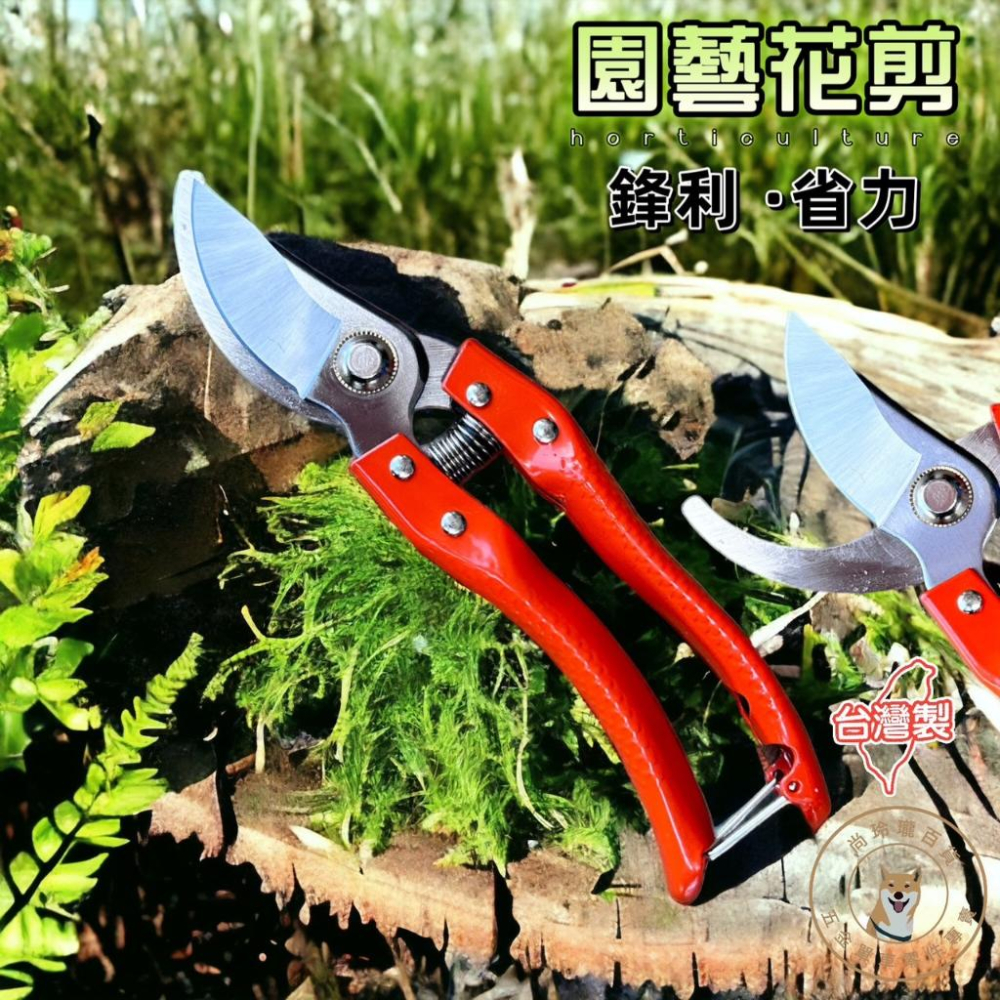 現貨|KUUSA 台灣製 SK-5 高碳鋼花剪 21cm|園藝剪 盆栽剪 採果剪 專業修枝剪 - 616自轉車 - iOPEN Mall