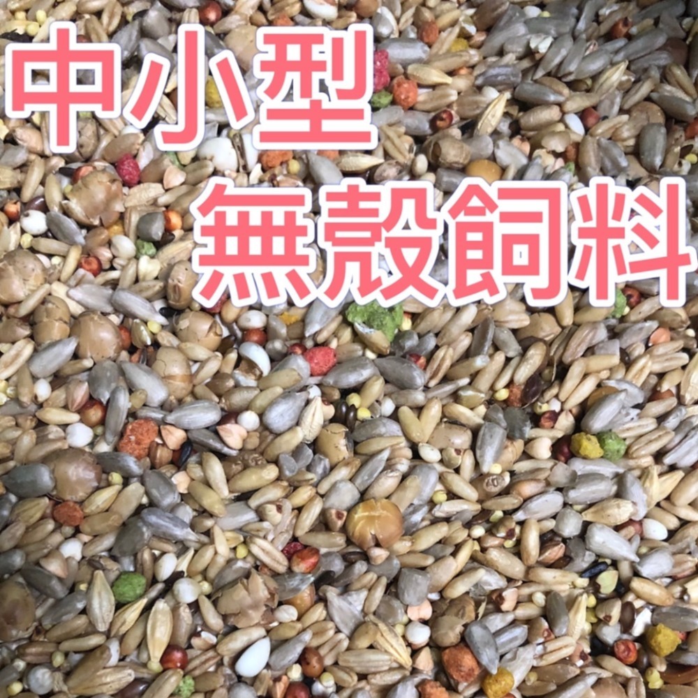 鸚鵡飼料 鳥飼料 無殼飼料 中小型飼料 學吃飼料 鸚鵡 飼料 和尚 小太陽 金太陽 玄鳳 凱克 日糧 五穀 瓜子 鳥-規格圖1