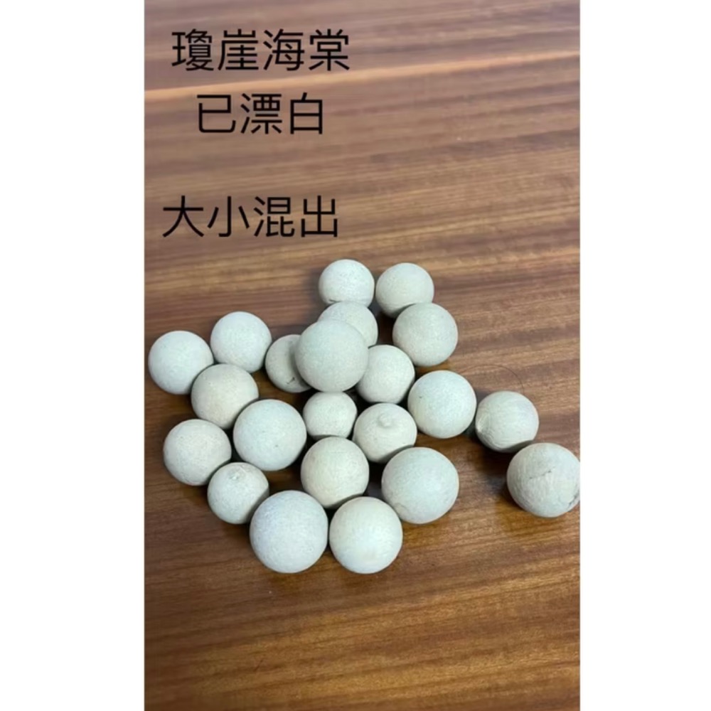 瓊崖海棠已漂白已乾燥不可種植-細節圖3