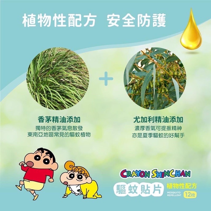 防蚊貼片 蠟筆小新 正版授權 台灣製-細節圖4