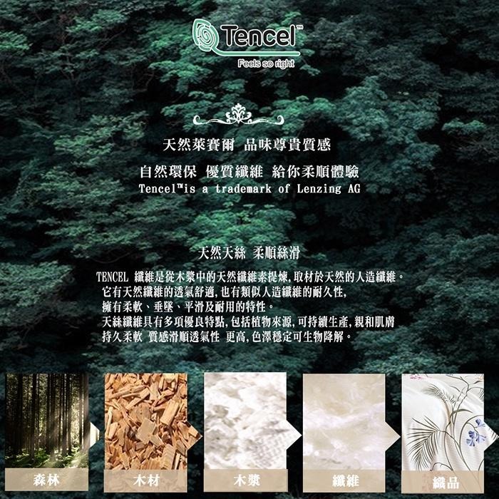 現貨 快速出貨 ｜ 正40支100%天絲信封式枕套 (多款花色) 天絲枕套1對 天絲枕套 信封式枕套 枕套-細節圖3