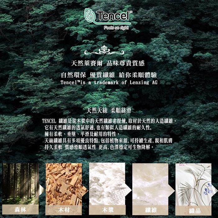 現貨 快速出貨 ｜ 正40支100%天絲信封式枕套 (多款花色) 天絲枕套1對 天絲枕套 信封式枕套 枕套-細節圖3