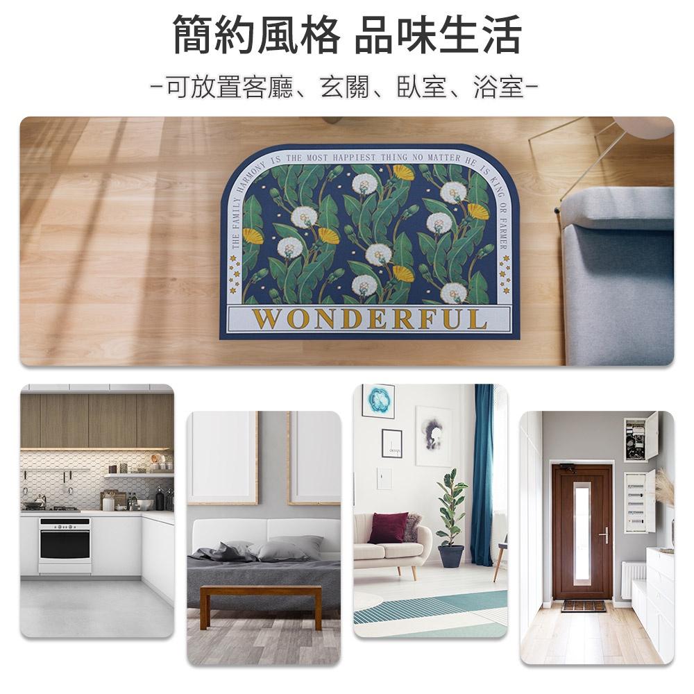 現貨 ｜ 花園珪藻土地墊  吸水地墊 珪藻土地墊 矽藻土地墊 藻土地墊 地墊 防滑地墊 浴室防滑墊 瞬吸墊吸水速乾墊-細節圖5