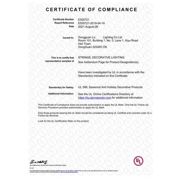 ACB照明 (LED) 防水戶外G40燈串 商業用 求婚 露營 聖誕佈置 防水燈串-細節圖9