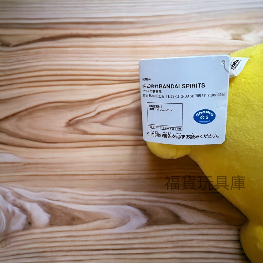 日版 Pokémon 精靈寶可夢 絨毛玩偶 皮卡丘 正版授權 玩偶 🔥現貨🔥-細節圖3