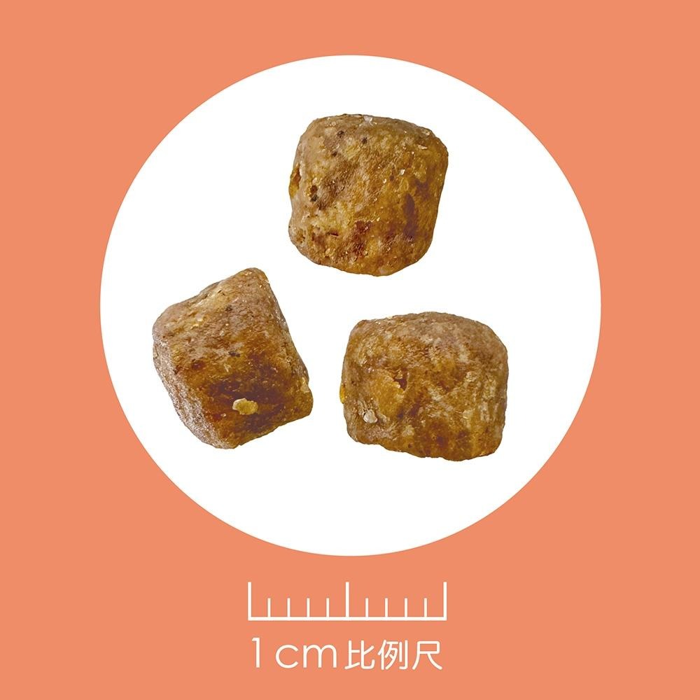 耐吉斯 Solution 犬用 E1 無穀活力羊肉餐 幼犬 狗飼料 4.5磅 10磅 22磅 犬糧-細節圖2