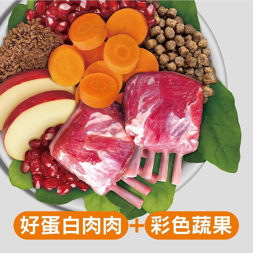 耐吉斯 Solution 犬用 E1 無穀活力羊肉餐 幼犬 狗飼料 4.5磅 10磅 22磅 犬糧-細節圖5