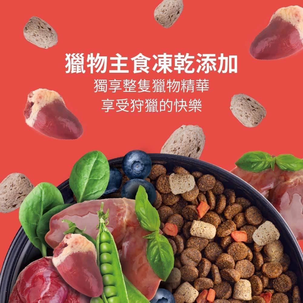 耐吉斯 Solution 犬用 P系列 P2凍乾多拚鮭魚餐 4.5磅 9.5磅 全齡犬 狗飼料 凍乾飼料-細節圖2