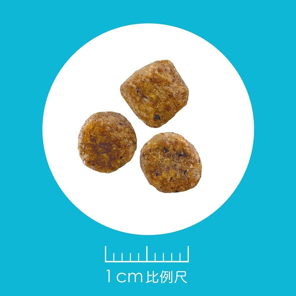 耐吉斯 Solution 犬用 E2 無穀活力羊肉餐 成犬 (小顆粒) 狗飼料 4.5磅 10磅 22磅 犬糧-細節圖3