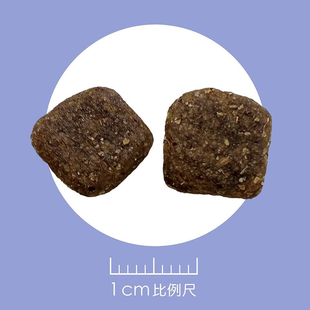 耐吉斯 Solution 犬用 E6 無穀銀髮羊肉餐 高齡犬 關節保健配方 狗飼料 4.5磅 10磅 22磅 犬糧 熟齡-細節圖2