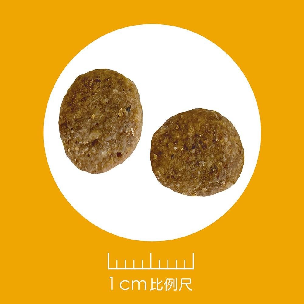 耐吉斯 Solution 犬用 E8 無穀能量鮭魚餐 全齡犬 狗飼料 4.5磅/10磅 犬糧-細節圖2