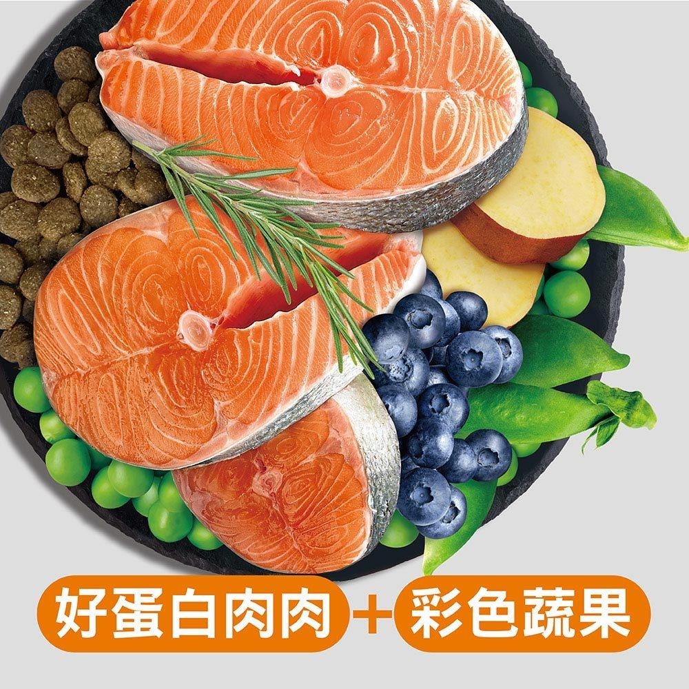 耐吉斯 Solution 犬用 E8 無穀能量鮭魚餐 全齡犬 狗飼料 4.5磅/10磅 犬糧-細節圖3