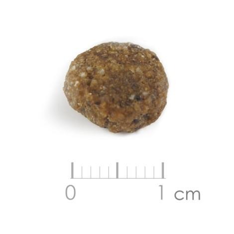 優格 TOMA-PRO 熟齡養生配方 高齡犬 鮭魚+馬鈴薯 犬糧 狗飼料 老犬 熟齡犬-細節圖3